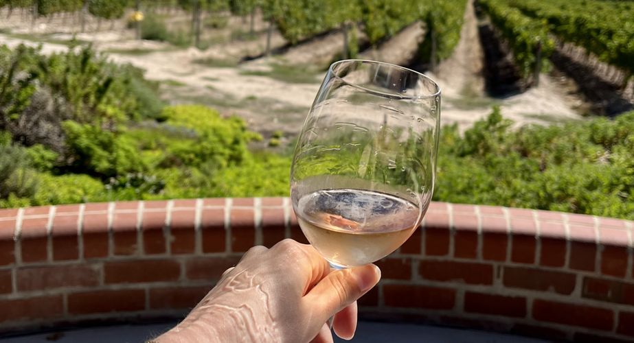 Optionele wijntours Zuid Afrika groepsrondreis 2